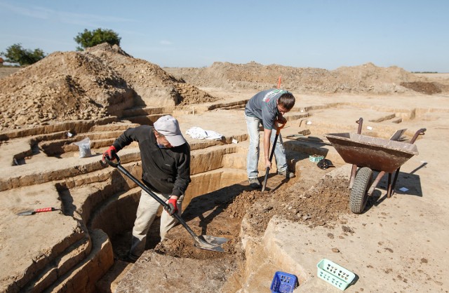 Archeolodzy odkopali osadę neolityczną koło Łańcuta.