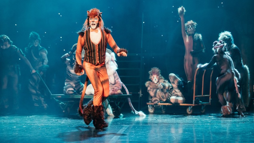 Chorzów: Musical "Koty" - premiera w Teatrze Rozrywki. To wyjątkowy spektakl![RECENZJA]