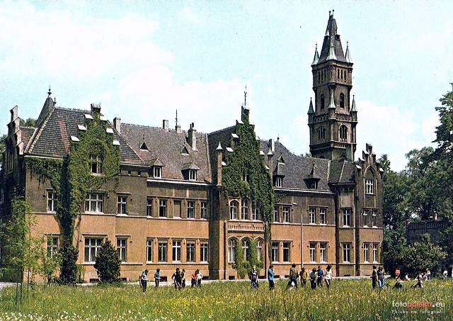 W 1856 roku Hugo von Donnersmarck rozpoczął budowę pałacu w stylu neogotyckim, prawdopodobnie na miejscu starszego dworu. Budowę ukończył jego syn Łazarz IV, który zamieszkał w pałacu jeszcze za życia ojca.