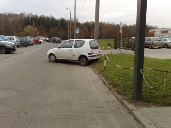 Internaucie trudno zrozumieć intencje tak parkującej osoby