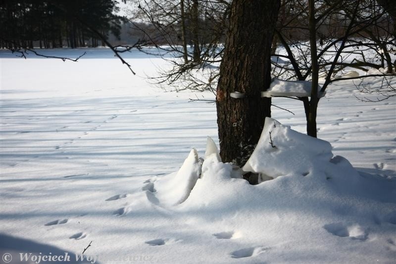 Tonkiele nad Bugiem