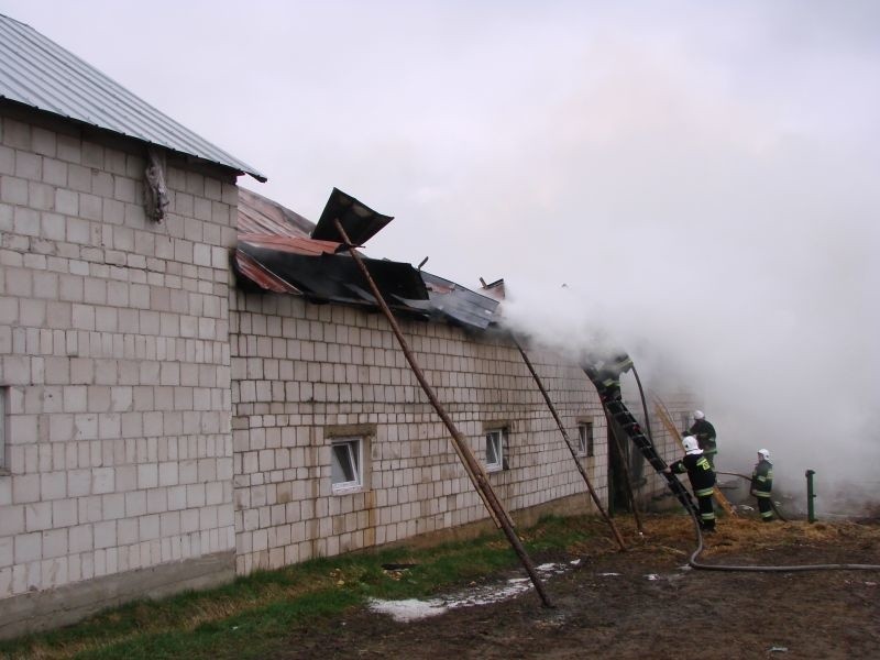 Spłonęło gospodarstwo, na miejscu wciąż pracują strażacy (zdjęcia)