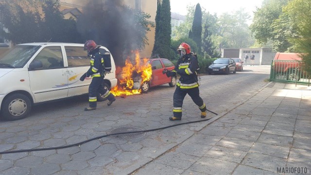 O godz. 12.20 strażacy zostali wezwani do płonącego seata na ul. Matejki w Opolu.