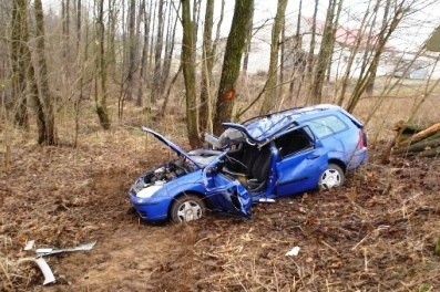 Fordem zahamował na drzewie. Ranny kierowca jest w szpitalu (zdjęcia)