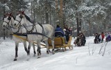 Grudziądz: Na weekendowe kuligi nie ma już wolnych miejsc