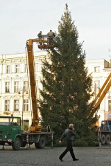 W Bydgoszczy już widać zbliżające się Święta