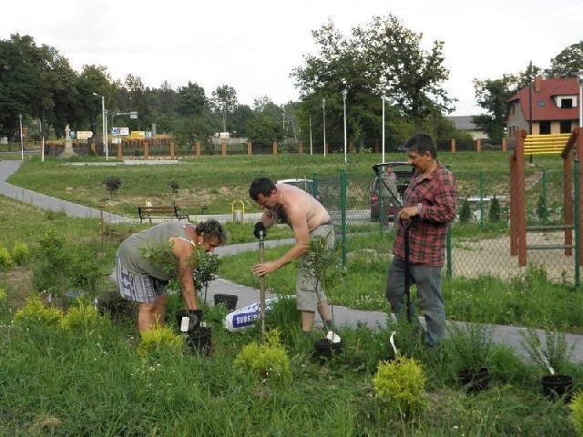 Sołtyska Ćmińska Bożena Modżejewska wraz z sołtysami z sąsiednich miejscowości posadziła około 200 krzewów i drzew przy nowym boisku.