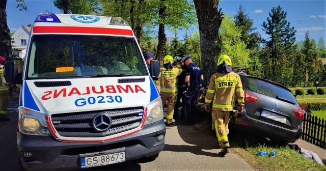 Samochód uderzył w drzewo. Dwoje dzieci trafiło do szpitala.