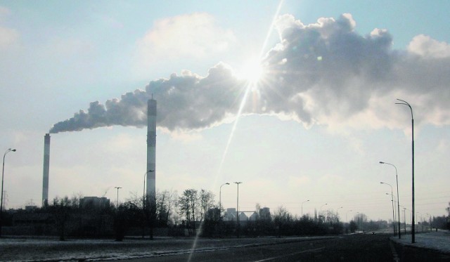Prawie 9-procentową podwyżkę przedstawiciele Dalkii Łódź tłumaczą stale rosnącymi cenami węgla.