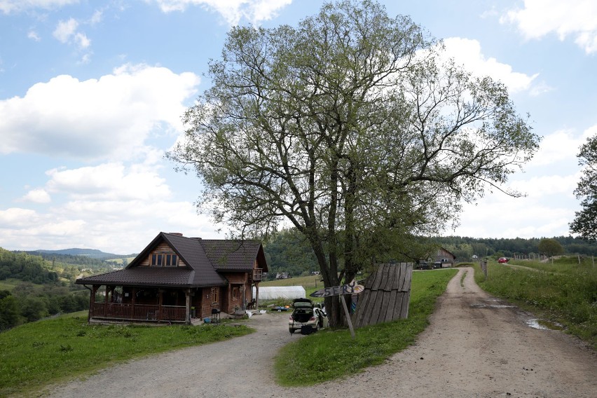 Bieszczadzką Kozę zamieszkują różne zwierzęta. Jednak to...