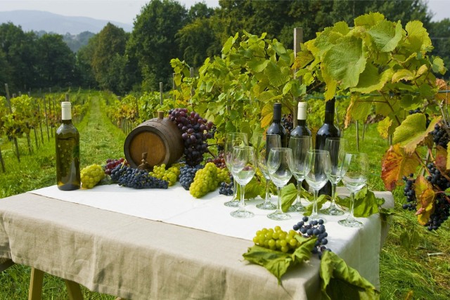 Które winnice i browary na Dolnym Śląsku warto odwiedzić? Sprawdźcie >>