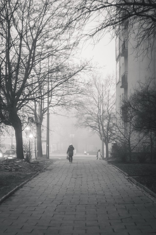 Toruńscy radni chcą walczyć ze smogiem.