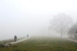 Słaba widoczność na drogach. IMGW ostrzega przed gęstymi mgłami