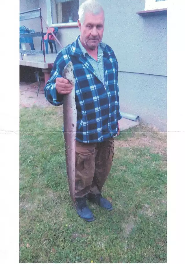 Andrzej Paradowski  ze złowionym przez siebie węgorzem. Ryba miała 112 cm długości i ważyła 3,05 kg. Gratulujemy!