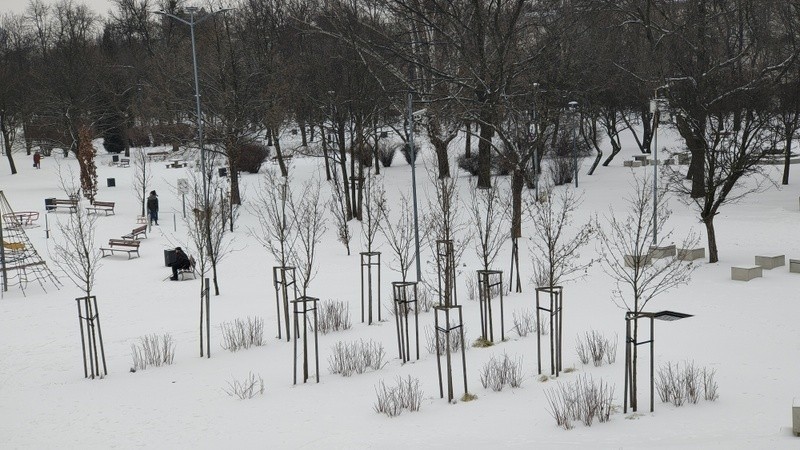 Dąbrowski Park Hallera w zimowej odsłonie Zobacz kolejne...