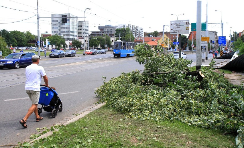 Niedzielna wichura połamała wiele drzew we Wrocławiu