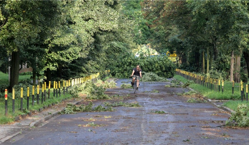 Niedzielna wichura połamała wiele drzew we Wrocławiu
