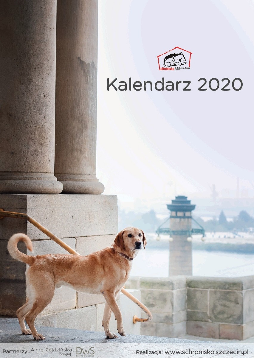 Szczecin. "Kalendarz Schroniska 2020" z psiakami i inne gadżety. Kup i pomóż!