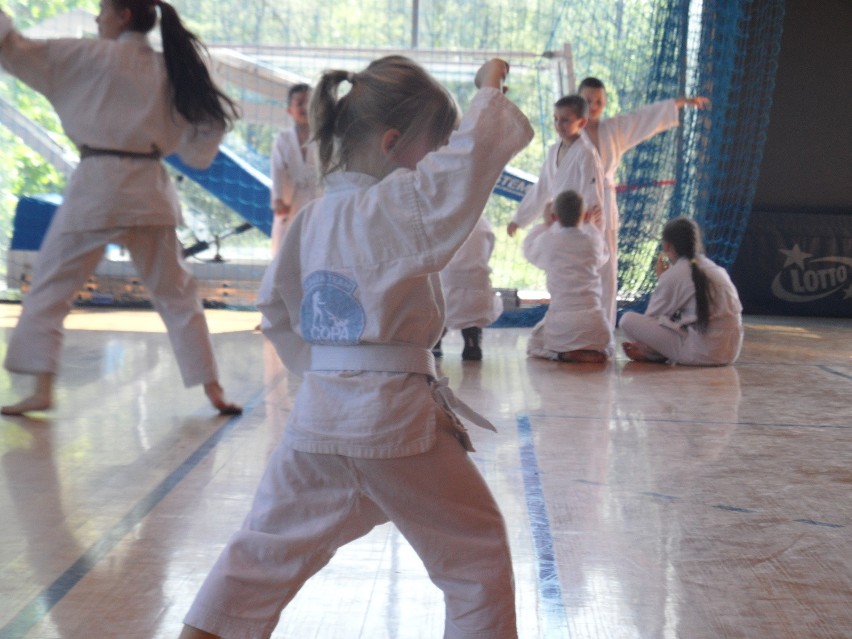 Bytom: Silesia Cup 2016 karate w Hali na Skarpie