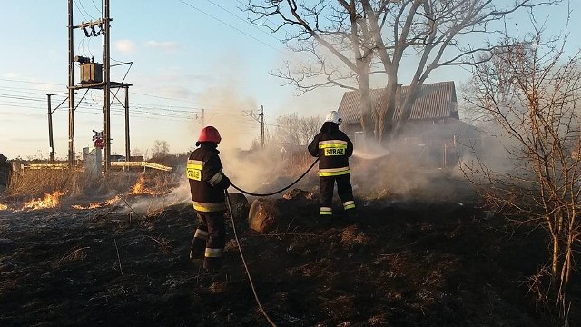 W niedzielę strażacy gasili pożar traw w okolicach Rudy Wielkiej.