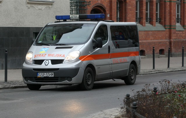 Patrole Straży Miejskiej codziennie pilnują porządku w mieście, podejmują interwencje wobec osób zakłócających spokój, zaśmiecających ulice