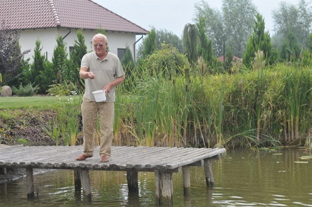 - W naszym stawie pływają karpie, karasie, liny i okonie -...