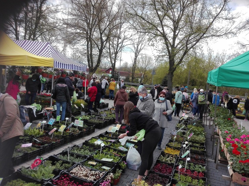 Wiosenne Zielone Ogrody nad Odrą. Pierwszy dzień