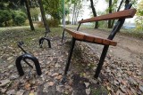 Wandale w parku na Podgórzu w Toruniu
