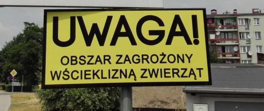 Obszar zagrożenia wścieklizną w Cieszynie