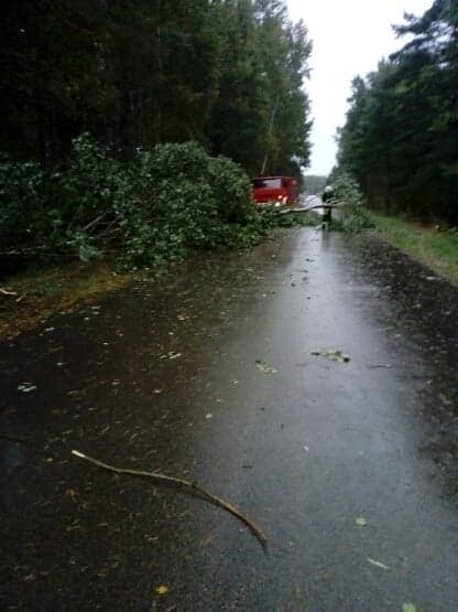 Wichura w Podlaskiem. Silny wiatr łamał drzewa. Na drogach doszło do wielu poważnych wypadków [ZDJĘCIA] 18.09.2019