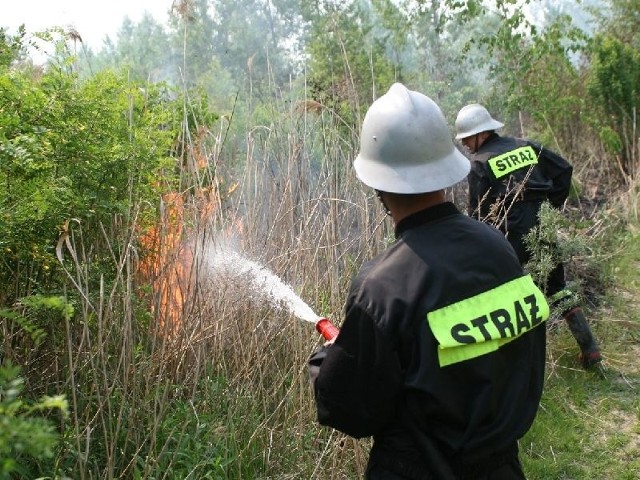 W 2011 roku na terenie Sokolnik odnotowano 5 pożarów. Rok później było ich już 51.
