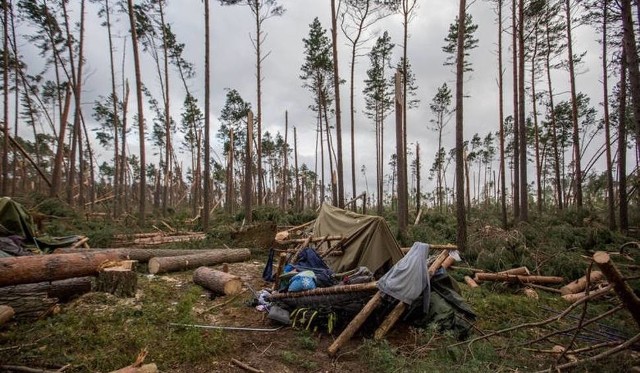 Nawałnica zmiotła z powierzchni ziemi obóz harcerski w Suszku (powiat chojnicki). Drzewa upadały na namioty. Dwie dziewczynki, 13- i 14-letnia, zostały przygniecione. Strażacy dotarli do obozu dopiero po sześciu godzinach, bo drogę odcinały im powalone drzewa.