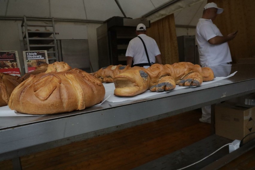 Od 2015 roku ceny chleb wzrosły już o ponad 80 proc., a w...