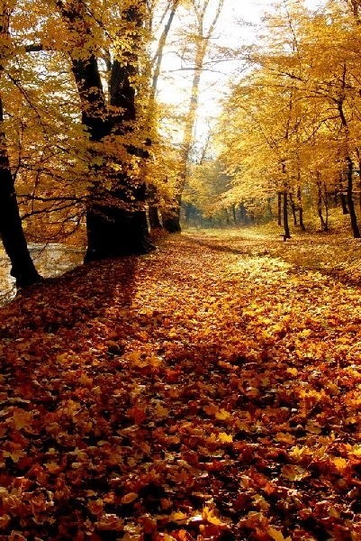 Jesien w parku w Dukli...