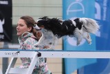 Psie kwalifikacje do mistrzostw świata w Kołbaskowie. Widowiskowe zawody w obiektywie