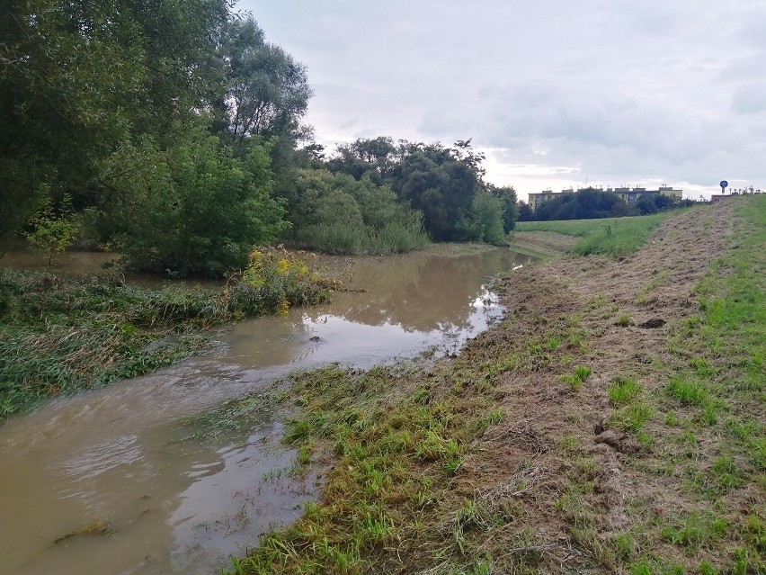 Tak wyglądał krajobraz w Broszkowicach (gm. Oświęcim) w...