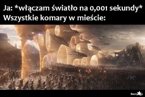 "Bzzzzz, śpisz? Z chęcią polatam Ci nad uchem!" Dzień Komara 2020 - czyli święto najbardziej irytujących owadów MEMY