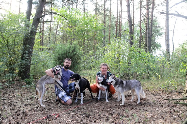 Greta Rogoz i Wojciech Syguła  przyznają, że praca z psami nie jest łatwa. Ale satysfakcja z prowadzenia zaprzęgu - wielka.
