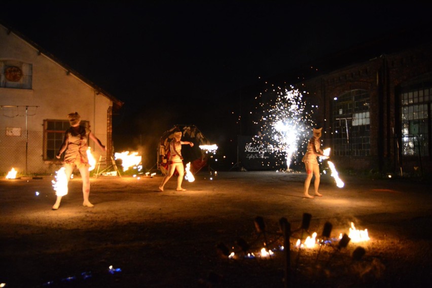 Dębowy Maj Festiwal trwa w Dąbrowie Górniczej