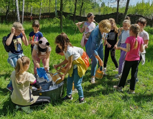 Oferta skierowana jest do szkół podstawowych i ponadpodstawowych.