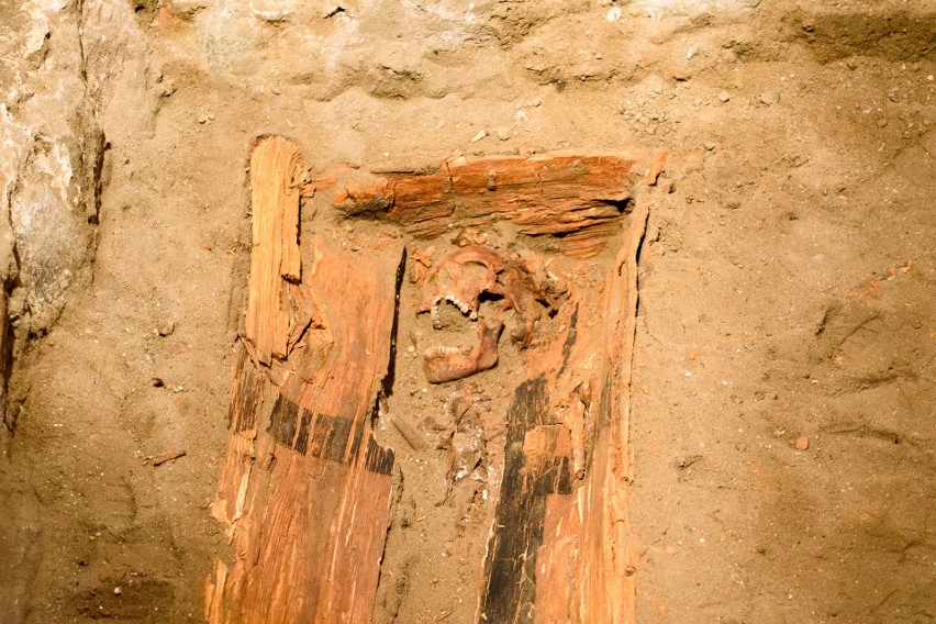 W piątek archeolodzy z UMK zakończyli wykopaliska w kościele...