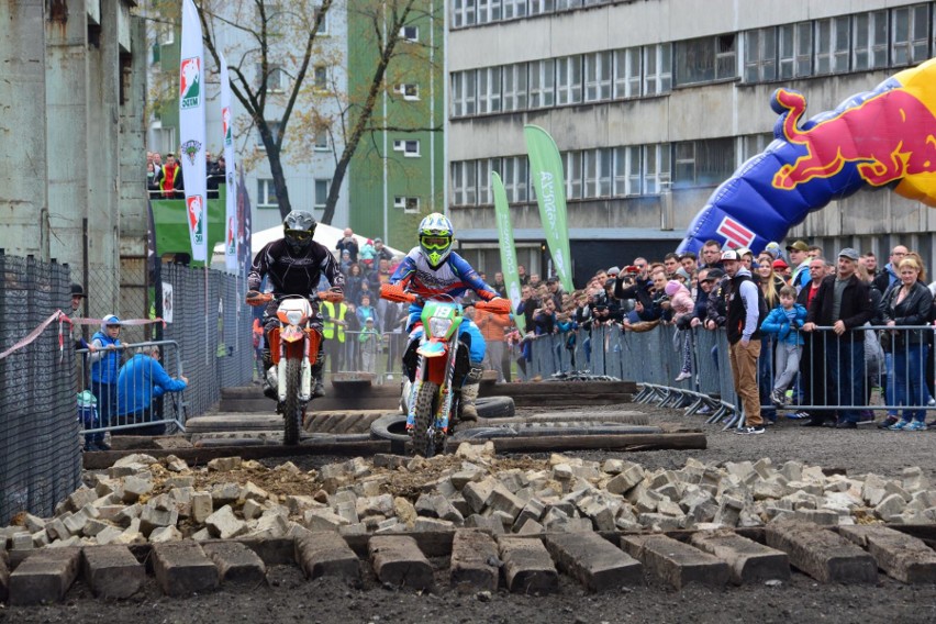 Dębowy Maj Festiwal trwa w Dąbrowie Górniczej