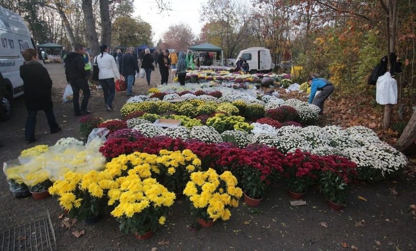 Wszystkich Świętych. Szczecinianie odwiedzili groby bliskich