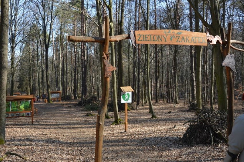 Wychodząc do lasu, też musimy pamiętać o środkach...