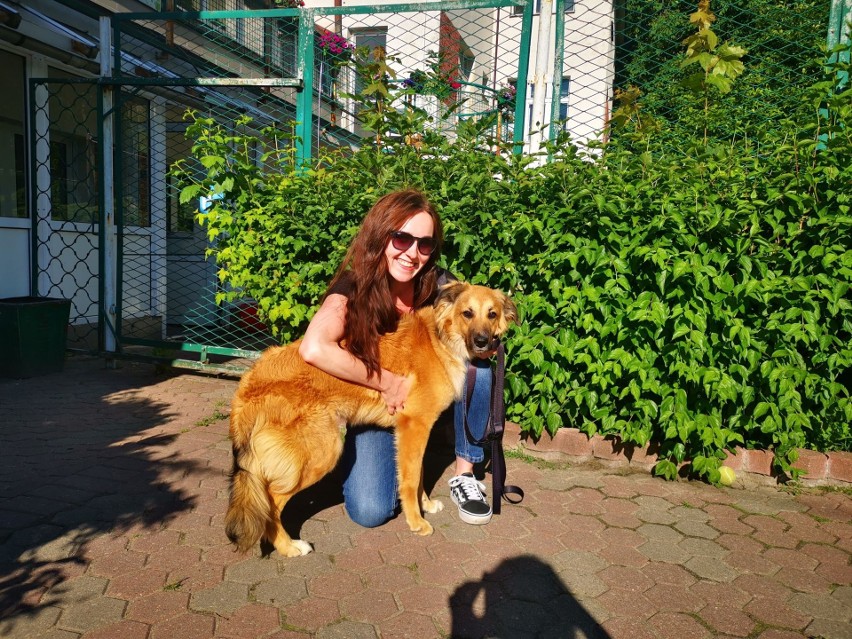 Toruń. Oni adoptowali psy ze schroniska. Dzięki tym osobom zwierzęta mają nowy dom