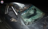 W miejscowości Borki kierowca audi uderzył w łosia