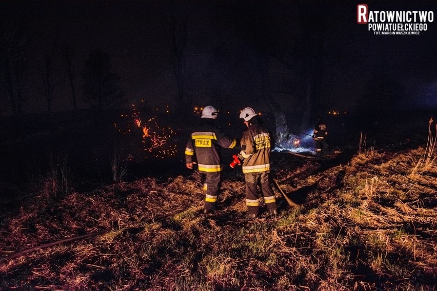 Groźny pożar. Płonęły nawet konary drzew (zdjęcia)