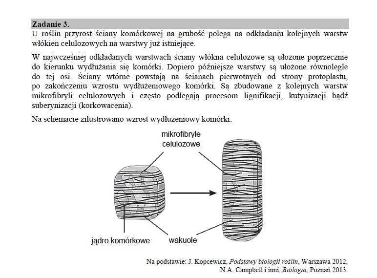 KLIKNIJ I SPRAWDŹ ODPOWIEDZI >>>