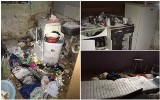 Szczecin, Ulica Światowida. "Mieszkanie przypomina wysypisko śmieci". Nieproszeni goście włamują się i demolują mieszkanie [ZDJĘCIA] 