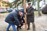 Choinki z Zielonej Góry zaczęły nowe życie. Są karmniki, budki lęgowe dla ptaków i zrębki. Akcją zainteresowały się inne miasta w Polsce